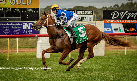 Beauchamp toughs it out