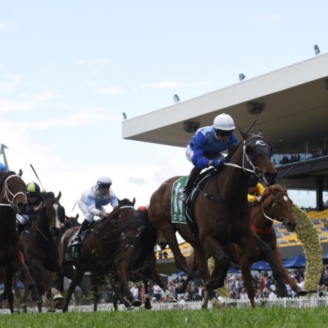 Dubbo Double on Cup Day