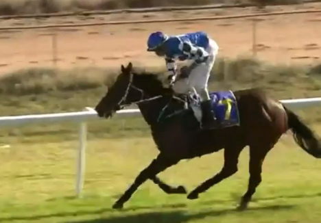 Dubbo Goblet Double