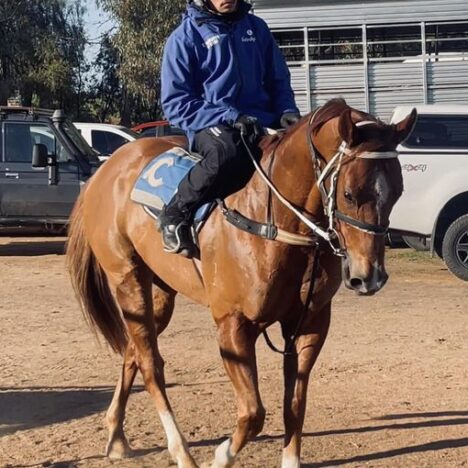 A Narromine and Jockey Treble