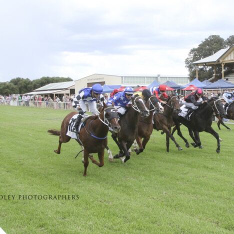 Another Cup for Tupou