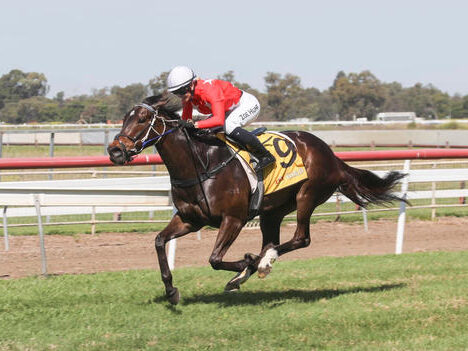 A Dubbo Double