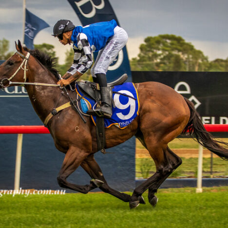 It was a rumble at Narromine